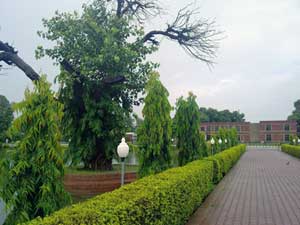IBIT - University of the Punjab